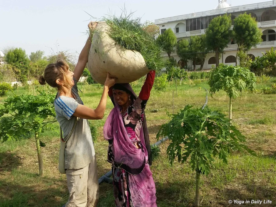 Traditional way to carry a load in India
